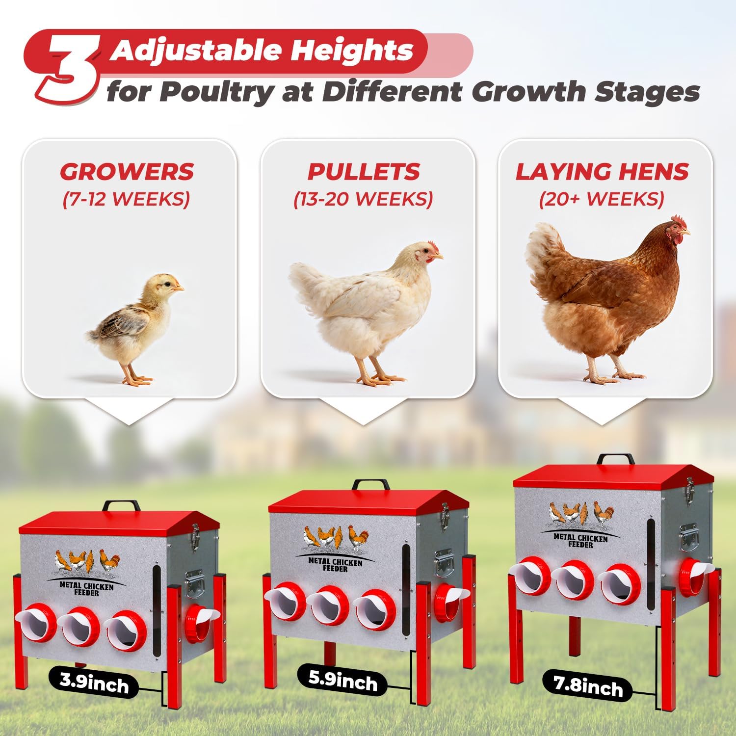 Automatic Chicken Feeder 50LBS Large Capacity, 8 Anti-Waste Ports Metal Poultry Feeder with Height Adjustable Stand, Waterproof Rodent Proof Feed Box with Lid Viewing Window for Hens Ducks Geese