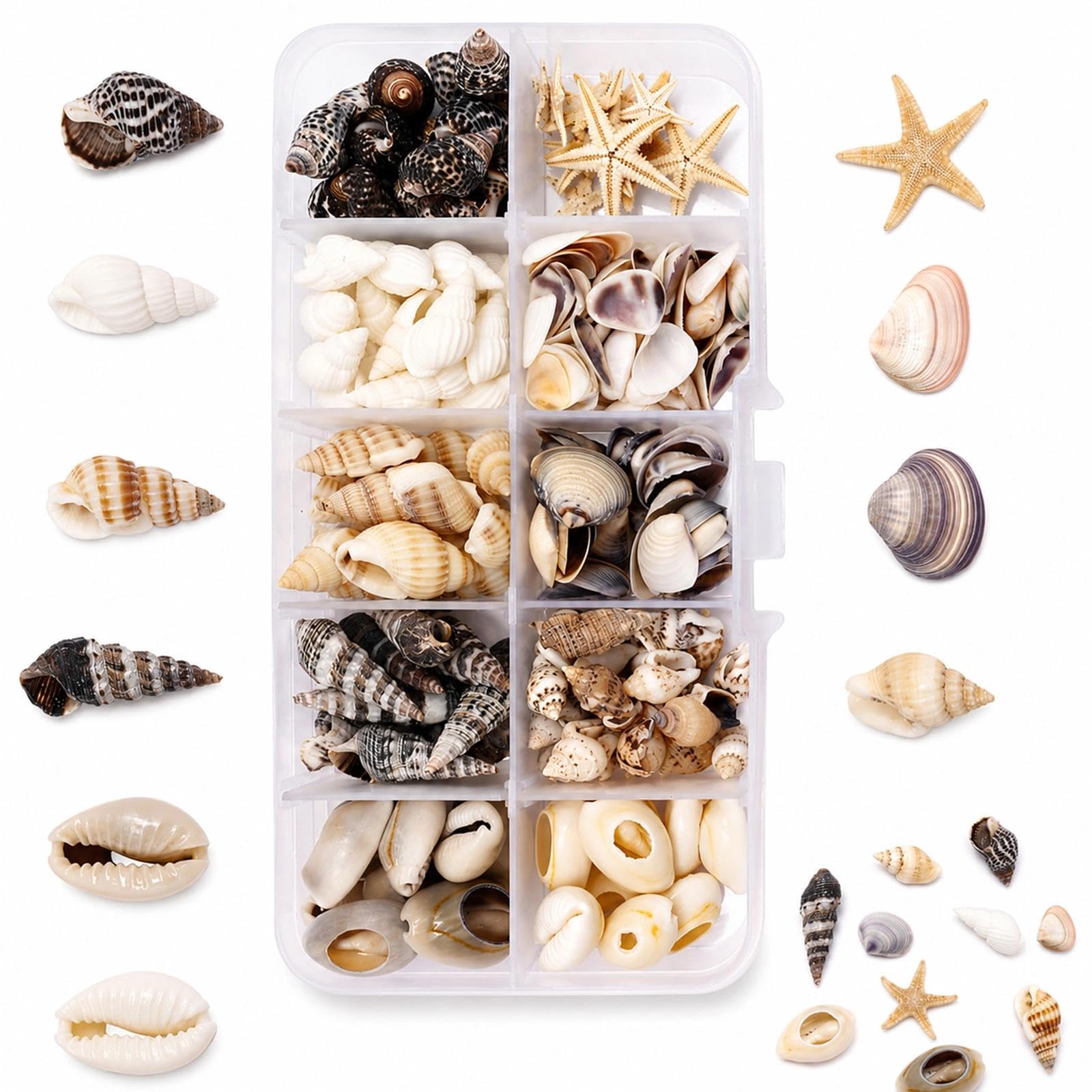 YANKOIUK 210 Pcs Small Sea Shells for Crafts, with Starfish & Sea Snails