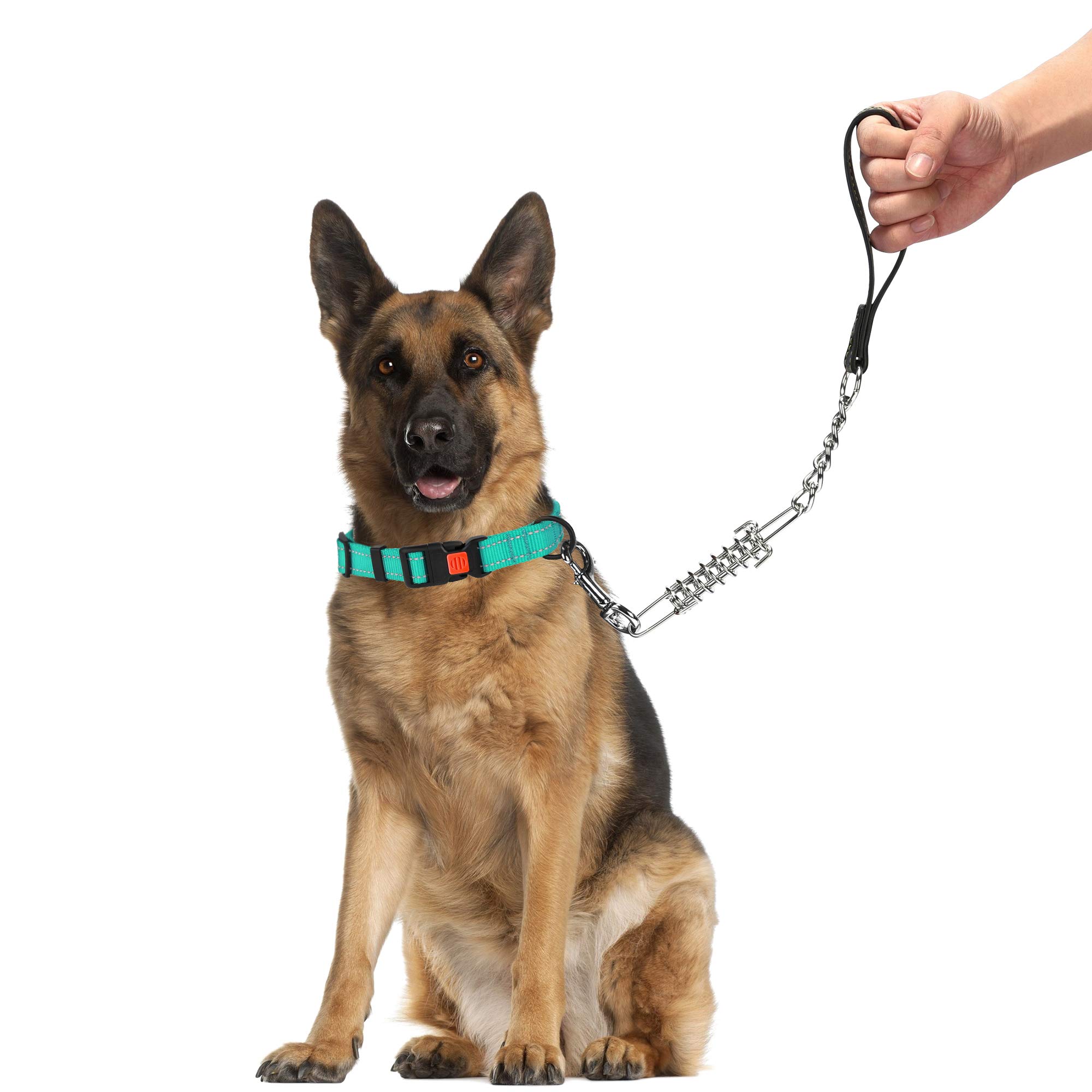 Correa Corta Para Perro De 10 Cm, Acolchada, Fuerte, 25 Mm De Ancho, Varios Colores, Para Razas Medianas/grandes