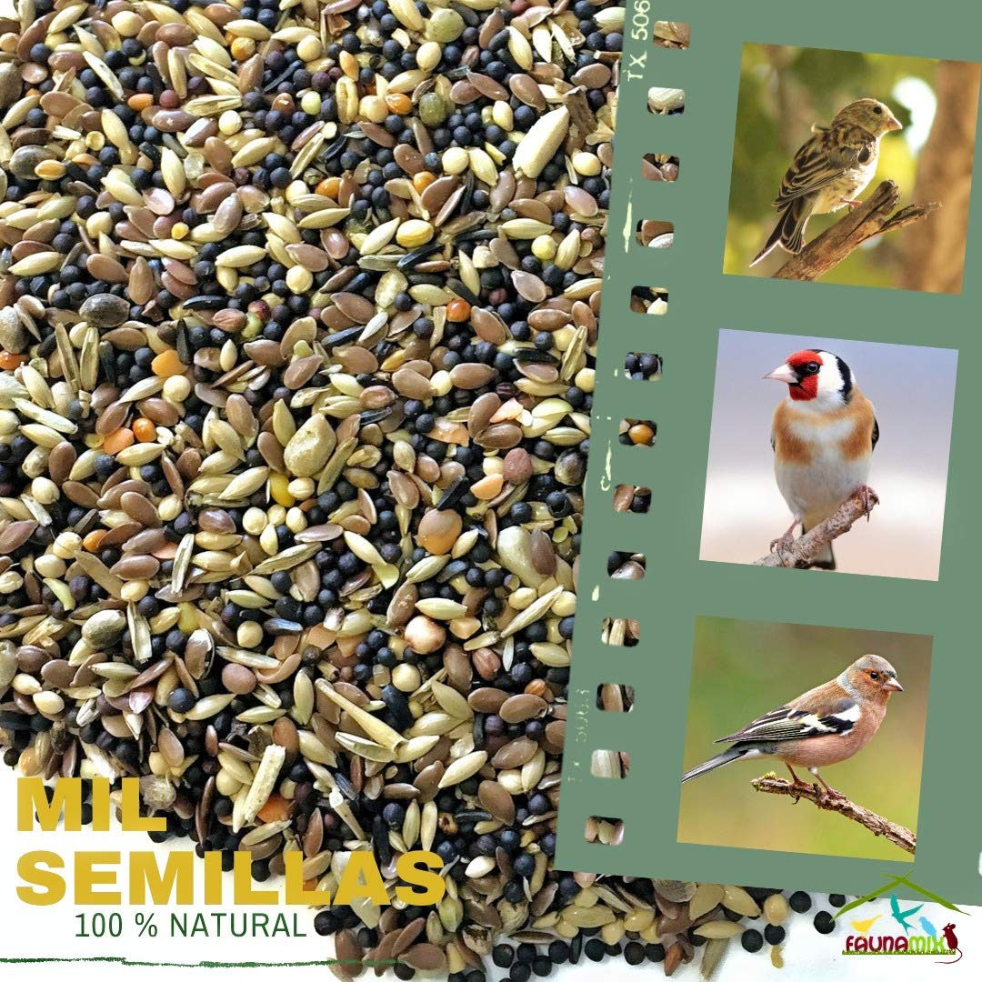 Mil Semillas (5 kg)