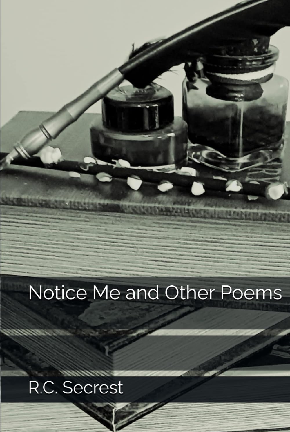 Notice Me and Other Poems
