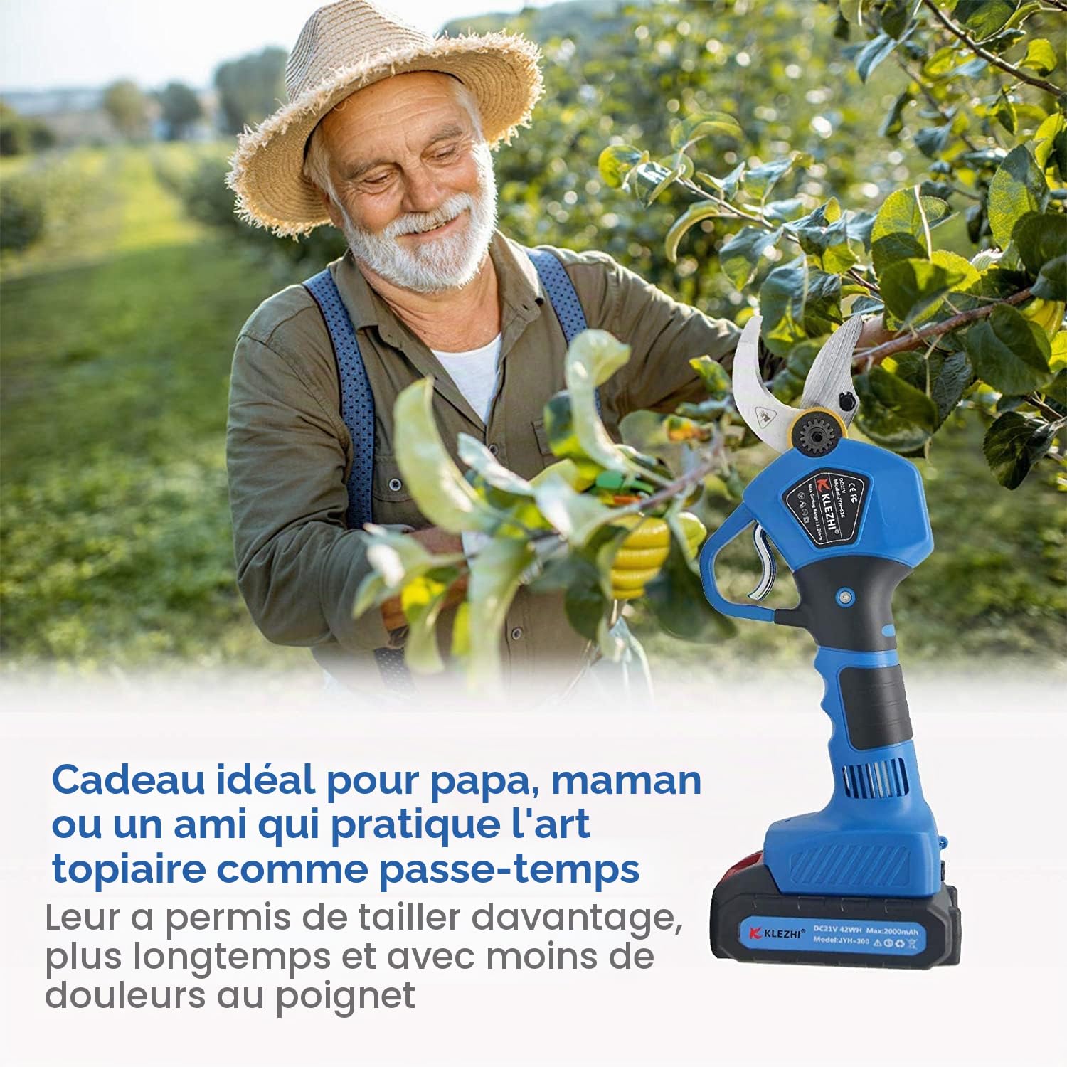 Sécateur Électrique sans fil, DC 21V Ciseaux de Jardinage Professionnel, 2PCS 2Ah Batterie au Lithium Rechargeable, Diamètre de Coupe 30MM (1,2 Pouce), 6-8 Heures de Travail (Bleu foncé)