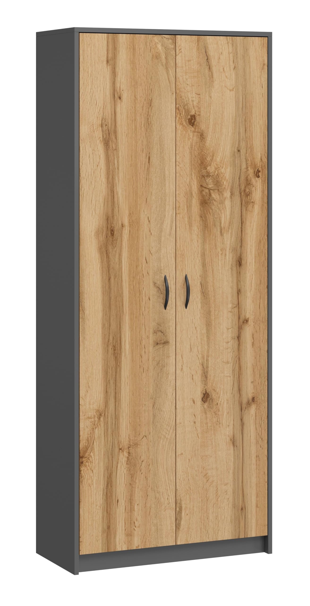 Armoire Multifonction pour la Maison, Armoire Pratique pour aspirateur et balais, 180 x 74 x 35 cm (Graphite/Chêne Wotan)