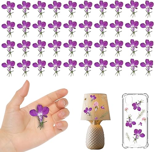 Flores secas moradas para adornos de manualidades de resina, 60 flores secas prensadas naturales para joyería de resina, decoración de caja de