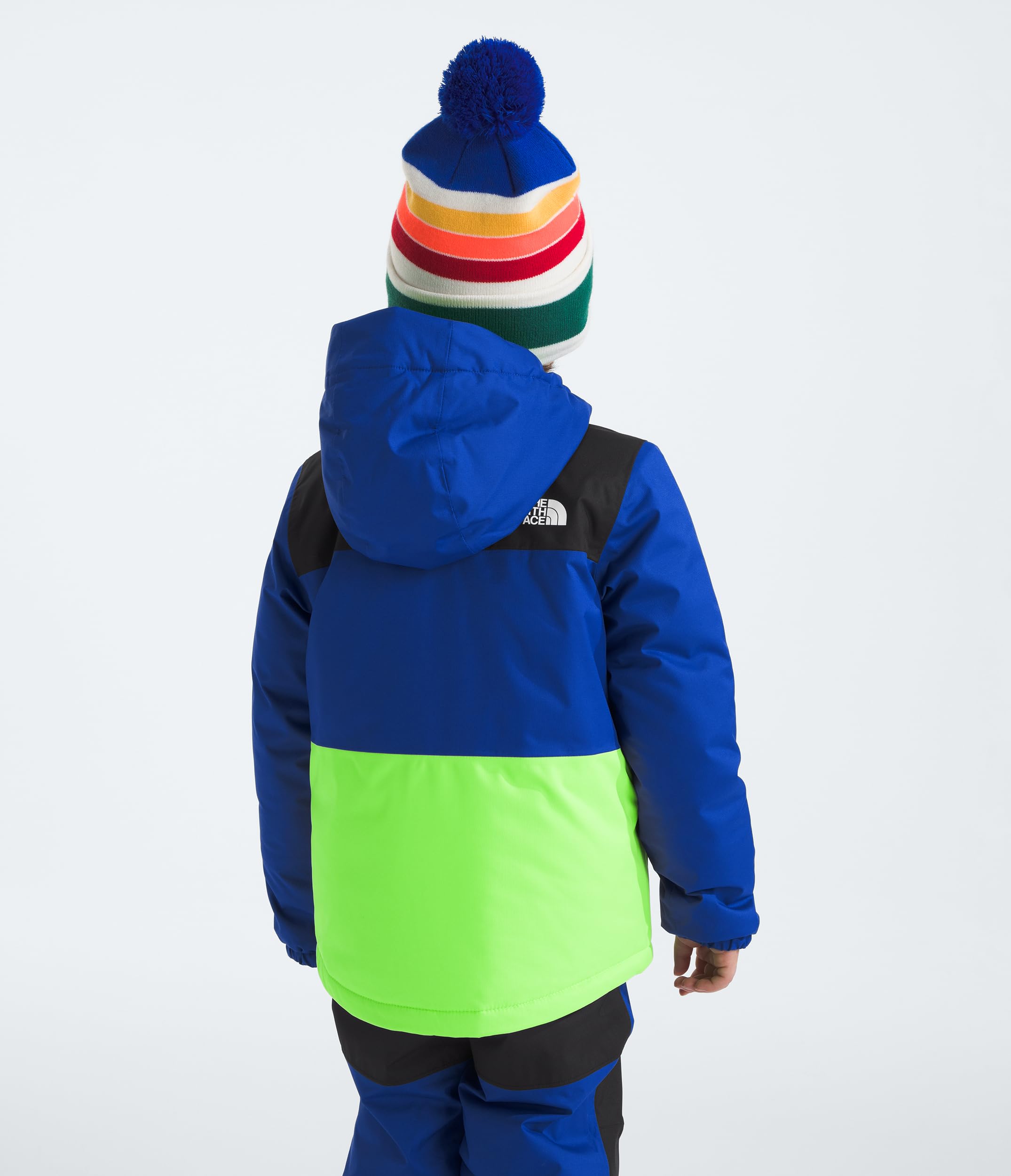 THE NORTH FACE Freedom Insulated Jacket (Toddler) Vêtements d'extérieur Garçon (lot de 1)
