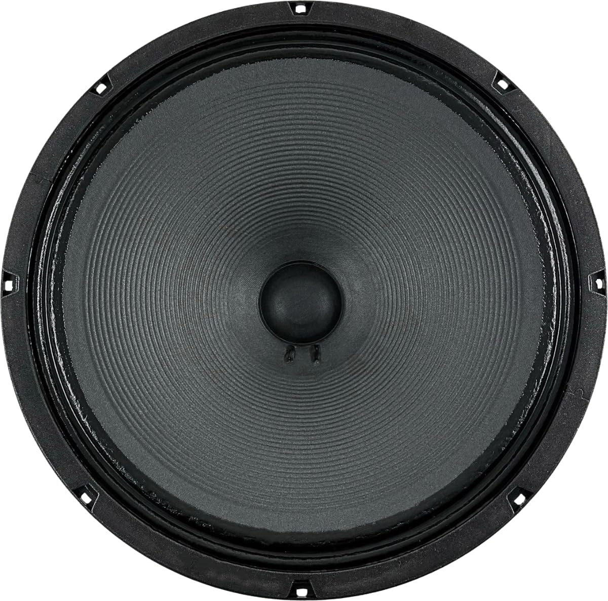 Amazon.com: Jensen Jets Blackbird Signature Edition 15