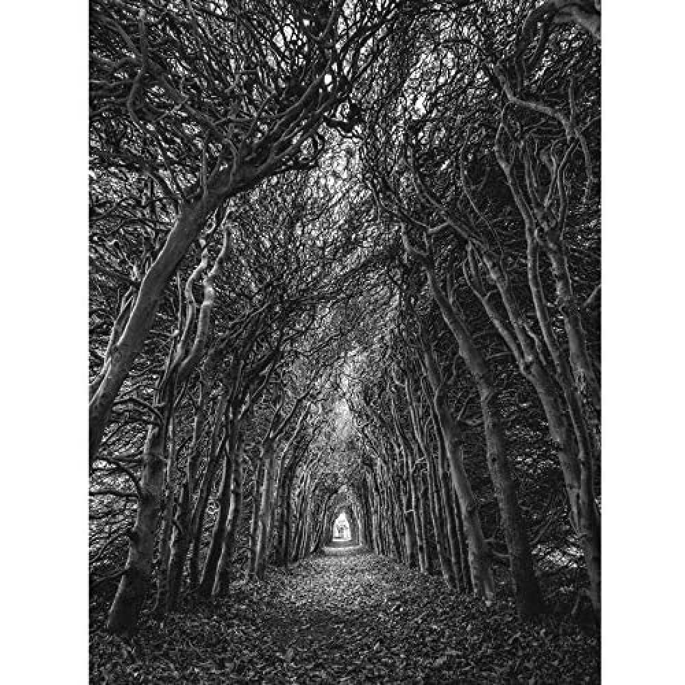 Artery8 Tree Tunnel Lane Atmospheric Black White Unframed Wall Art Print Poster Home Decor Premium