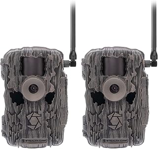 Stealth Cam