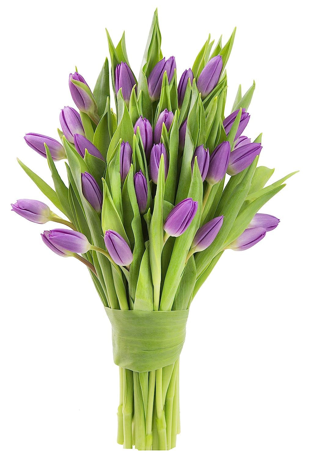 KaBloom-20 Purple Tulip Bouquet,Flowers for Valentine, Mother's Day