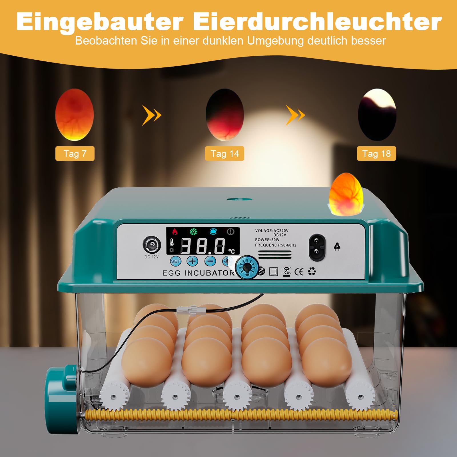 CoInceptus Brutautomat Vollautomatisch, Inkubator Hühner 12-16 Eier mit Automatischem Eierwenden und Automatischer Wasserzugabe, Brutkasten Hühner für Hühnereier, Wachtel und Enteneier