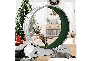 Cat Exercise Wheel: Grant Your Kitty Freedom and Fitness