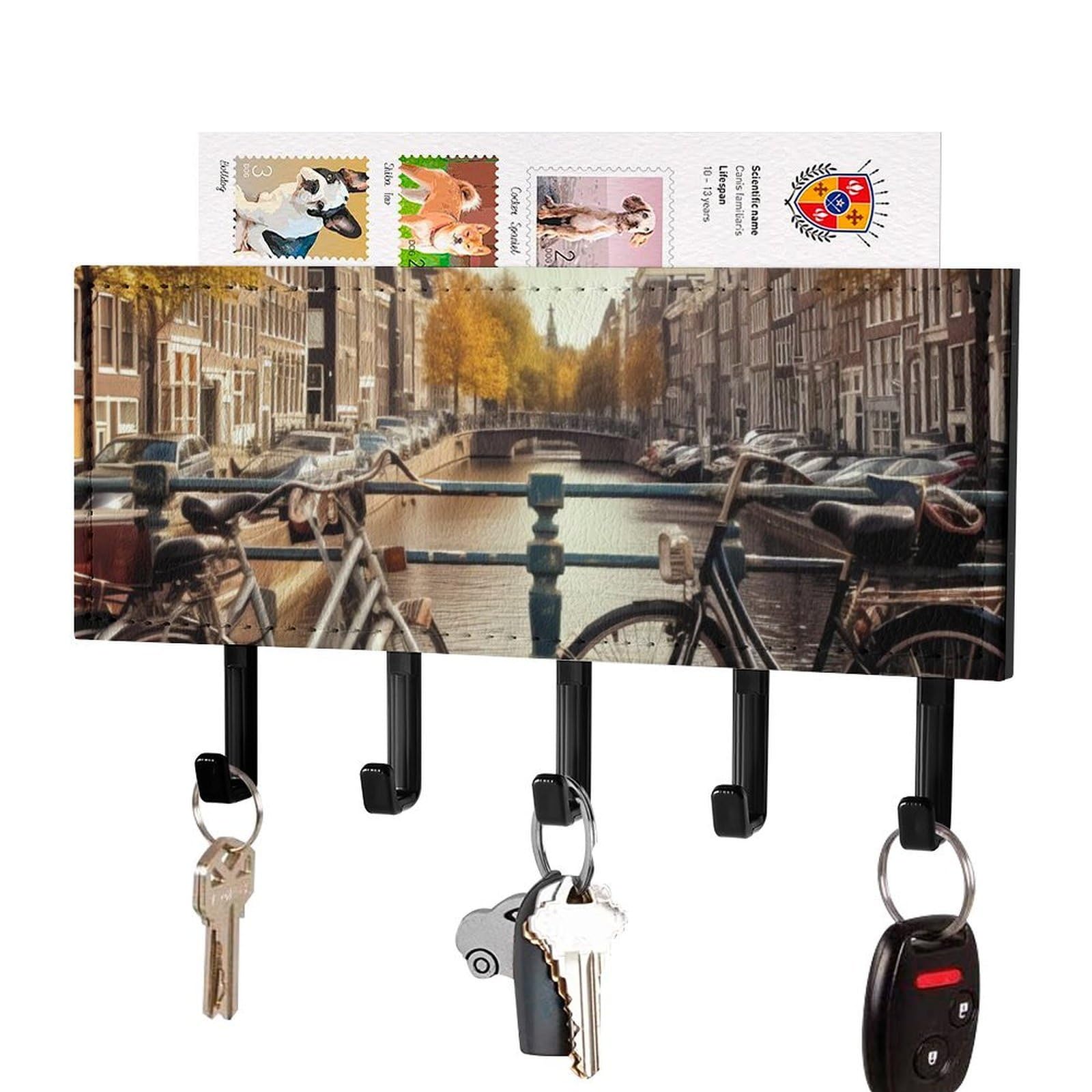 DWVTSLH Bicycles Key Holder for Wall, Decorative Key Hooks with Mail Organizer & 5 Hooks, Self Adhesive Leather Key Hanger for Entryway, Wall Mounted Key Rack (7.1” X 4.3” X 0.9”)