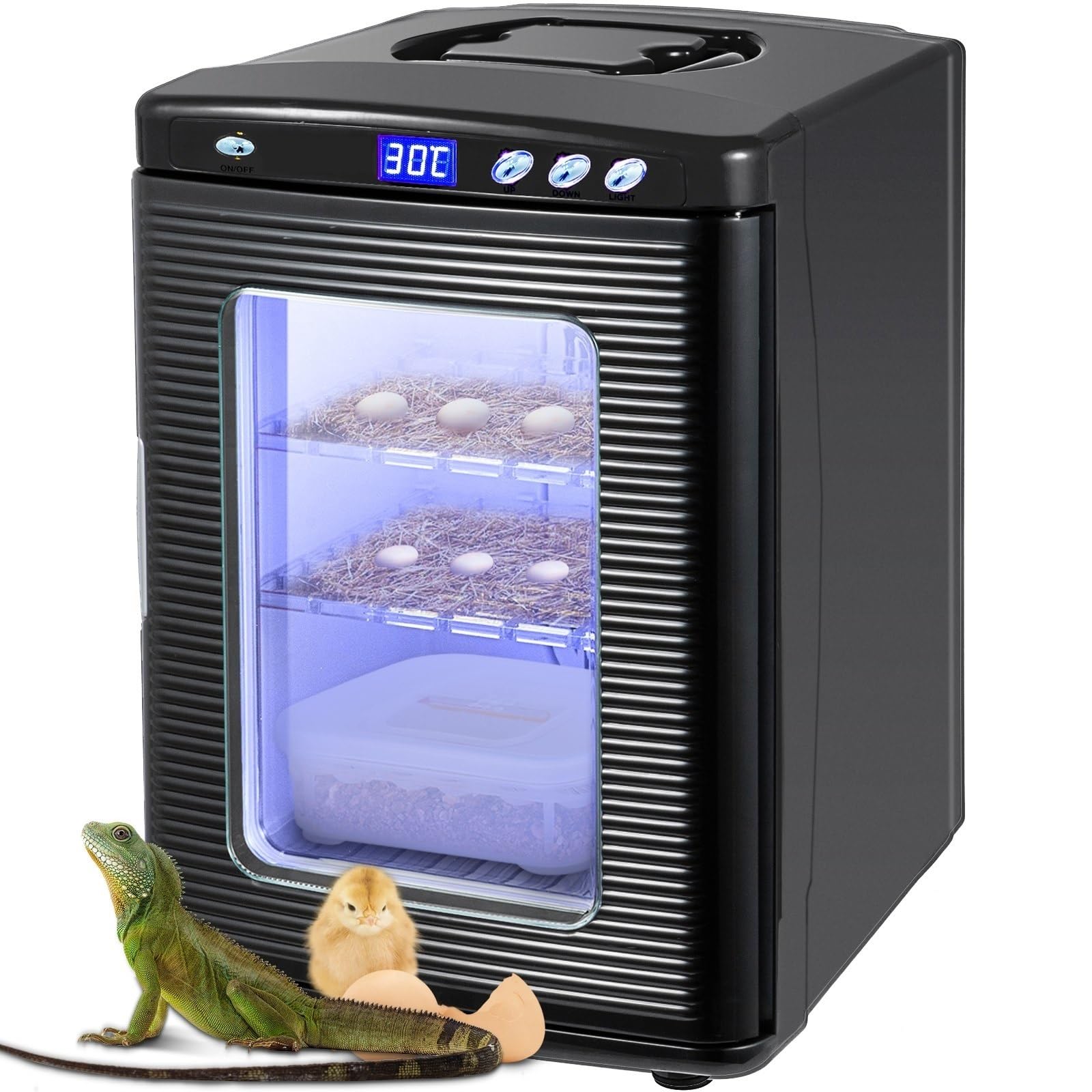 Incubadora de reptiles de 25L, incubadora Digital de huevos, incubadora de laboratorio científico, refriración y calefacción de 5-60 °C, trabajo for reptiles pequeños Para principiantes Bricolaje