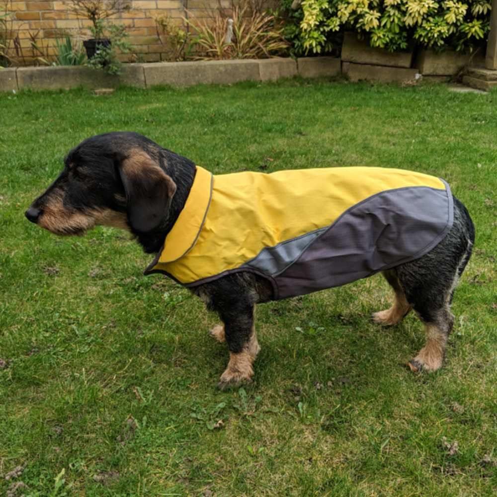 Yellow Dog Coat Size XLarge Waterproof Jacket Winter Warmer Vest Padded Puppy Apparel Pet Clothes Fleece Lined - Image 5