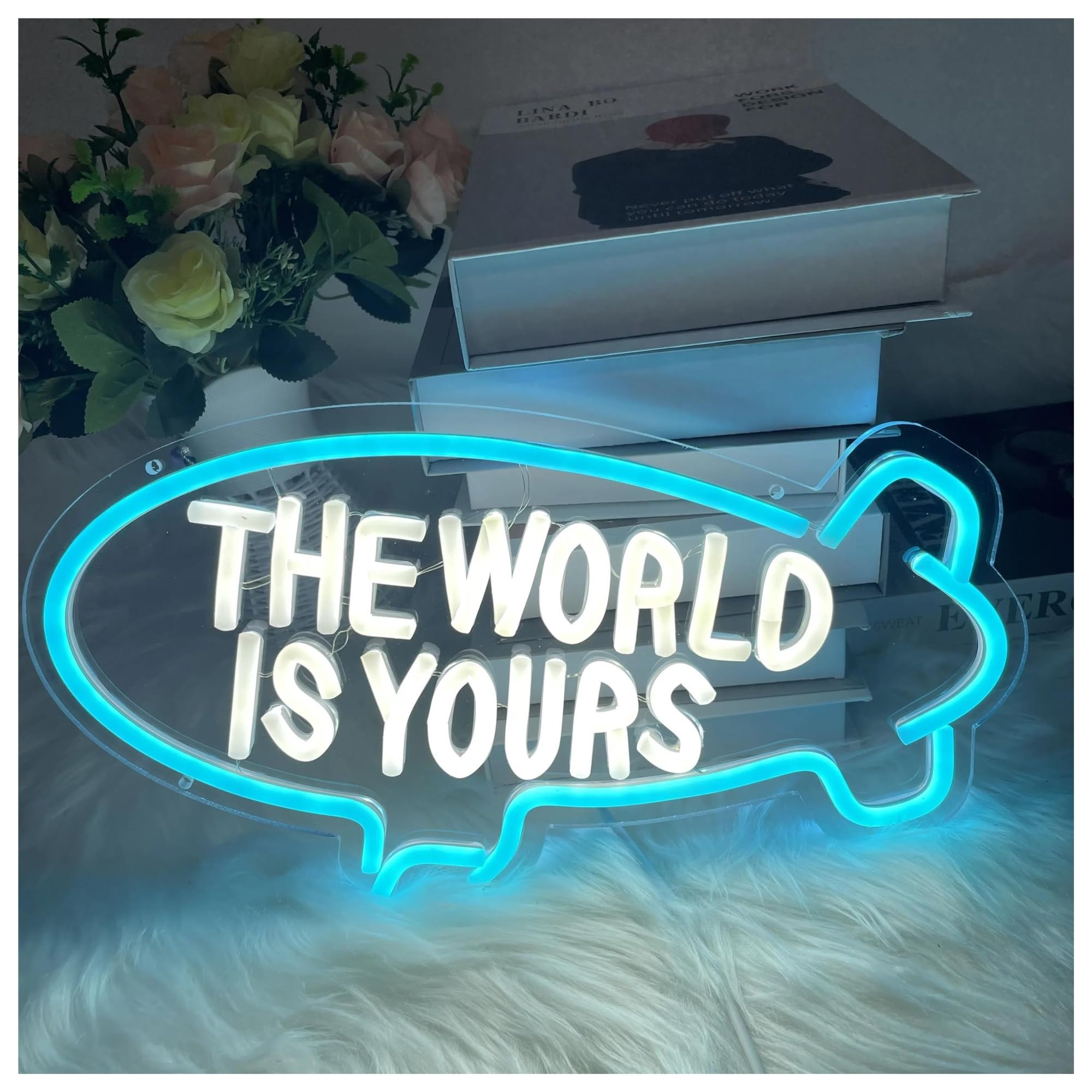 Lemst F Signs Lamp The World Is Yours Neon Sign Light Dimmable Or Home Room Bedroom Kids Room Birthday Decor Usb Powered Lamp 45Cmx28cm(F)