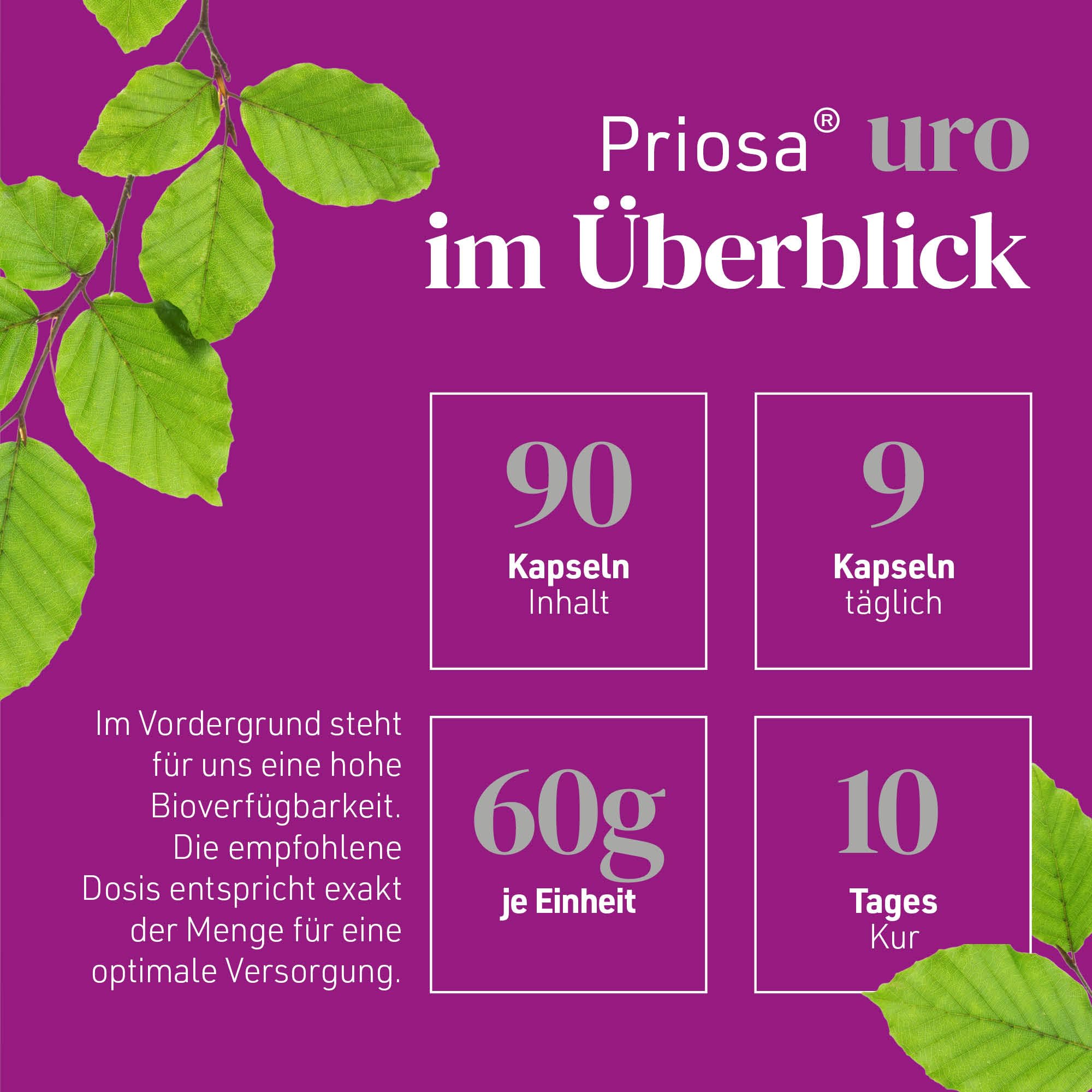 Priosa® uro I 90 Multivitamin Kapseln
