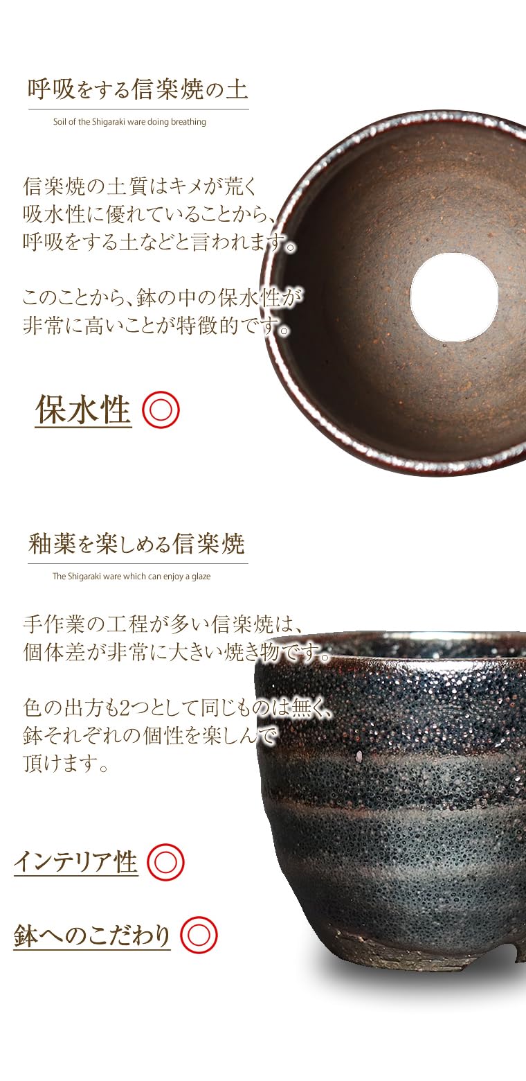 Amazon.co.jp: しがらき焼 植木鉢 陶器 おしゃれ 山草鉢