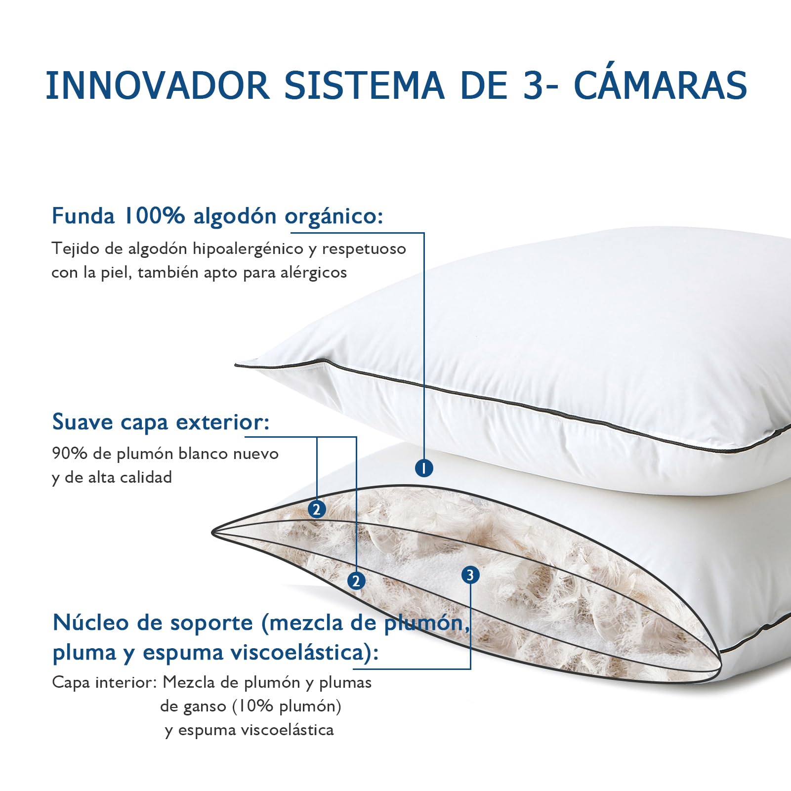 Dafinner 3 cámaras Almohada 50 × 75 cm-2 Unidades, 90% plumón cámaras ext. | Mezcla plumas int. |Oeko-TEX Downpass | Soporte medio | Funda algodón orgánico