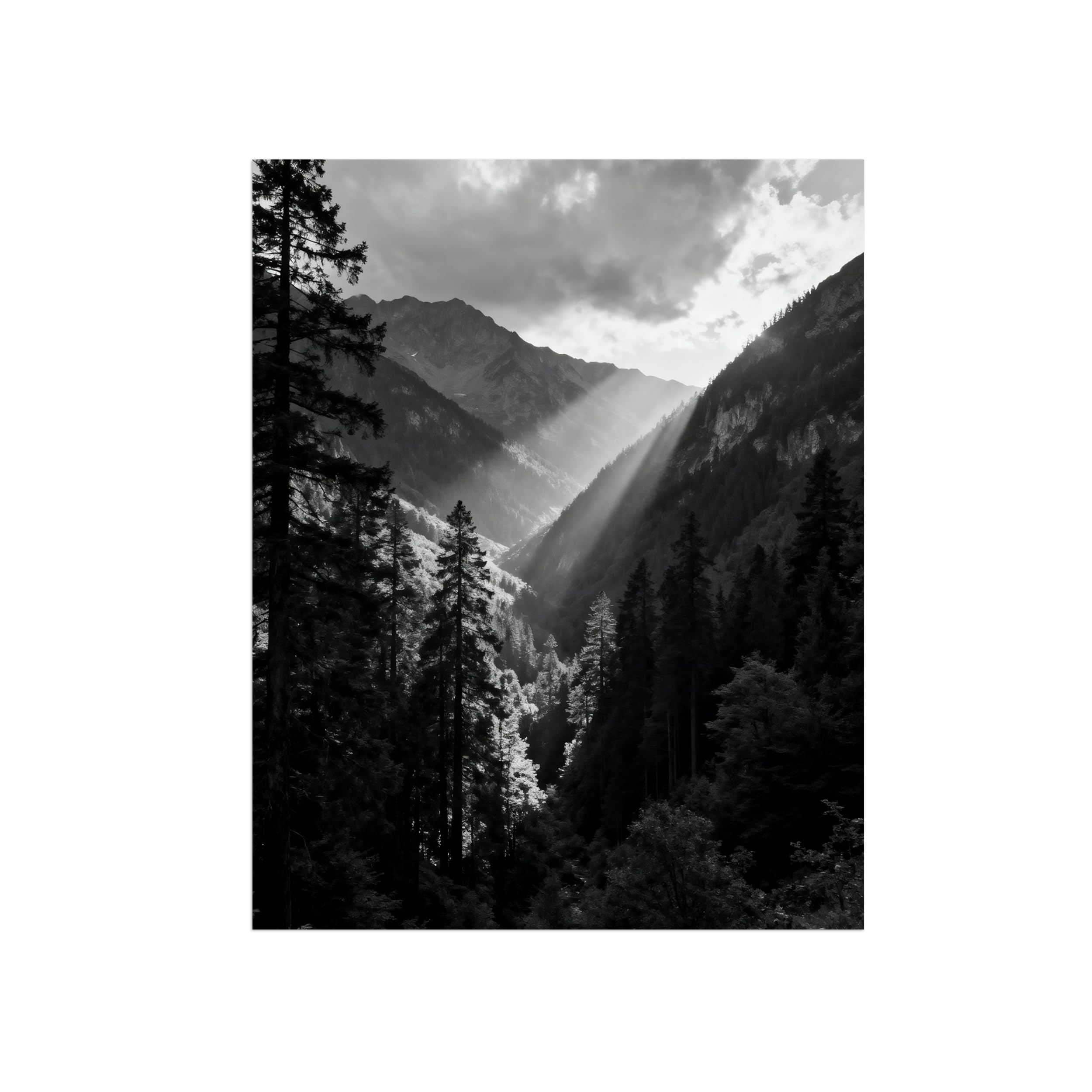 Black White Landscape Wall Art. Mountain Forest. Picture 90x117cm Framed
