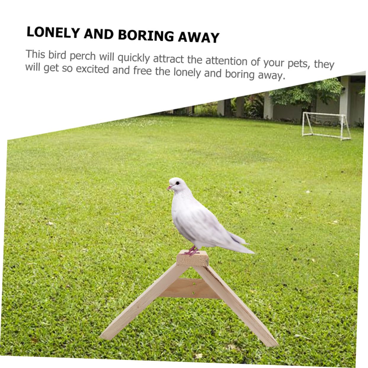 5 Perchas para Jaulas de Aves de Madera, Soporte Móvil de Madera para Loros, Juguetes Complementos para Aves