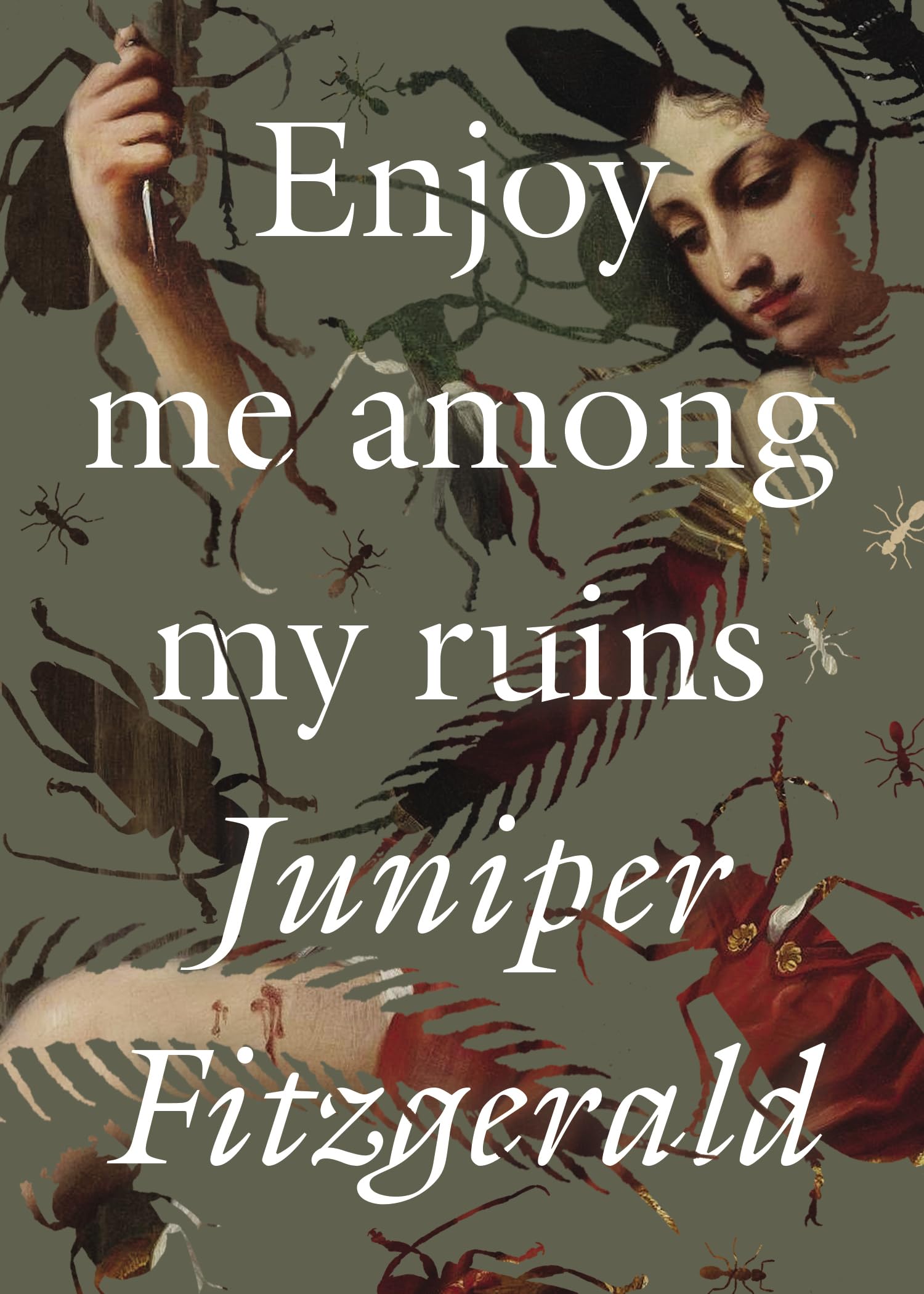Enjoy Me Among My Ruins by Juniper Fitzgerald PAPERBACK 9781558613829
