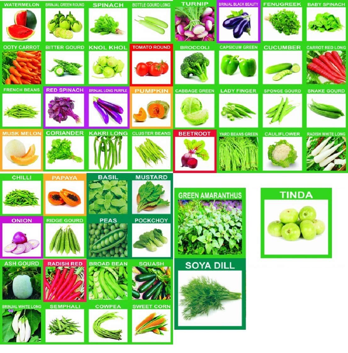 See full amazon price history chart for SAHAYA 51 Variety of Herbs, Fruits & Vegetables Seeds 6200 seeds approx for all seasons SAHAYA 51 Variety of Herbs, Fruits & Vegetables Seeds 6200 seeds approx for all seasons (B0918G2MS8) Amazon Price History, Amazon Price Tracker