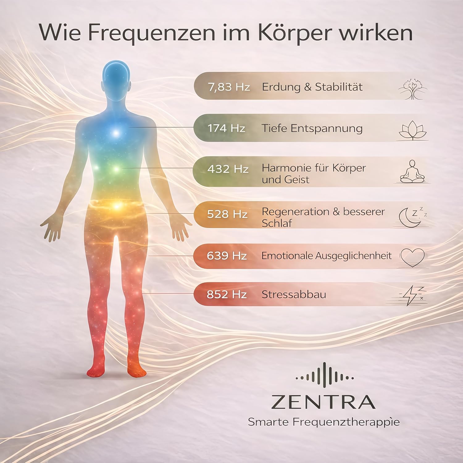 ZENTRA One Smartes Frequenzgerät
