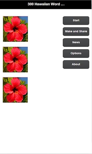 300 Hawaiian Word Dictionary & Quiz - Thumbnail 3