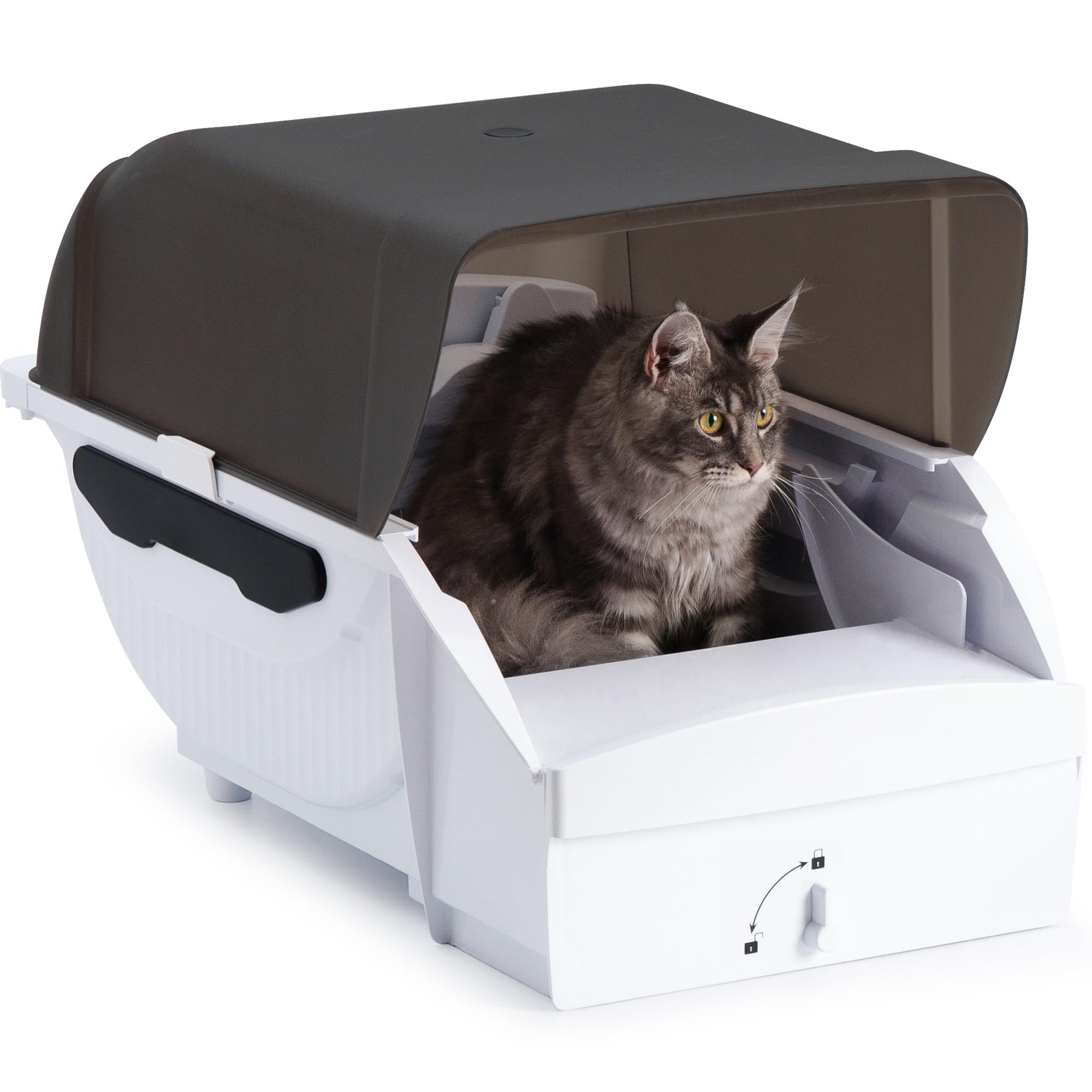 Amazon | Pandaloli トイレ 猫 トイレ 自動 大型: 全自動 ネコトイレ