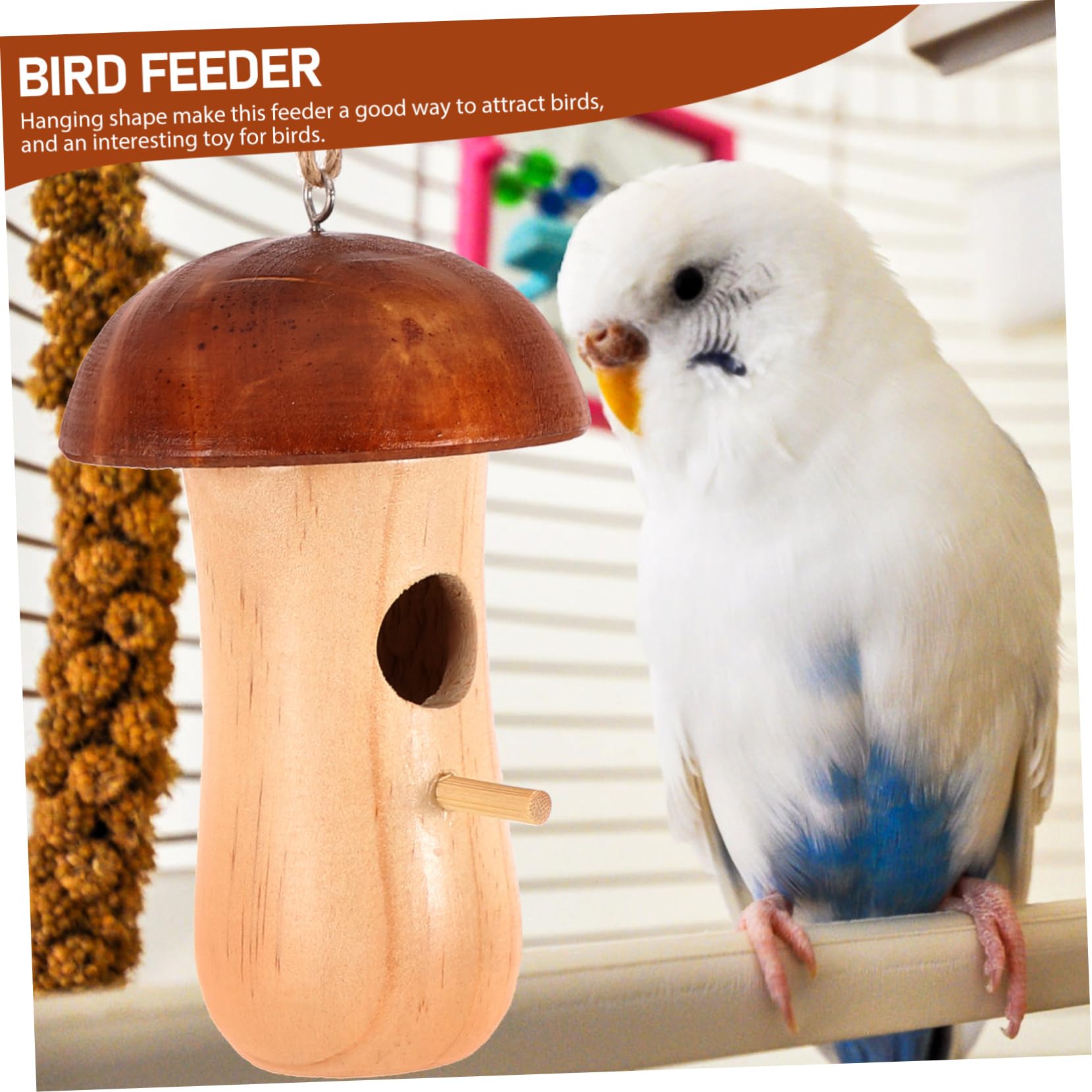 Sosoport 5 Pz casa del colibrì vassoio per appendere cibo per uccelli mangiatoia per pappagalli selvatici bird feeder birdgarden mangiatoia per uccelli sagomata da appendere Di legno