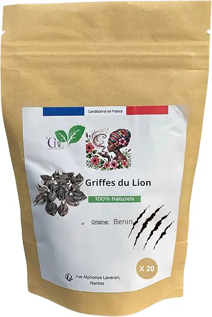 Löwenkrallen 20 Stück – Natürliche Balkon Weihrauch Pflanze für Ayurveda & Spiritualität