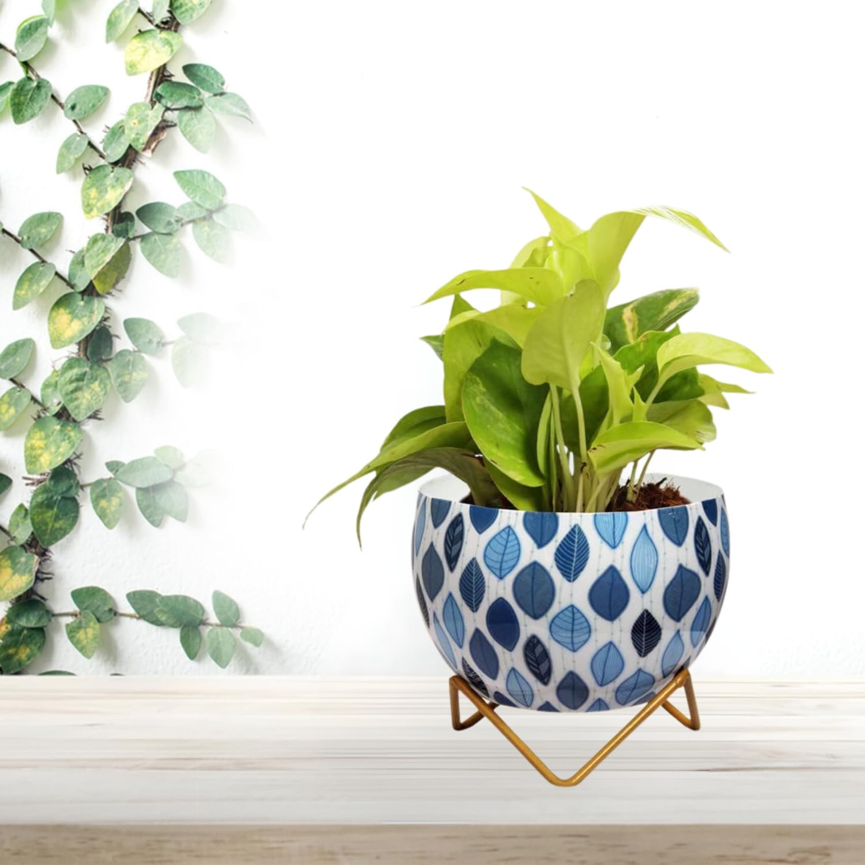 CINAGRO Metal Flower Vase Planter Pot with Iron Stand, Pots for Plants, Plant Pots for Home Decoration, Succulent Pot, Indoor Planter Garden Decor (Size: 6X6 inch) Style: Seaside Serenity