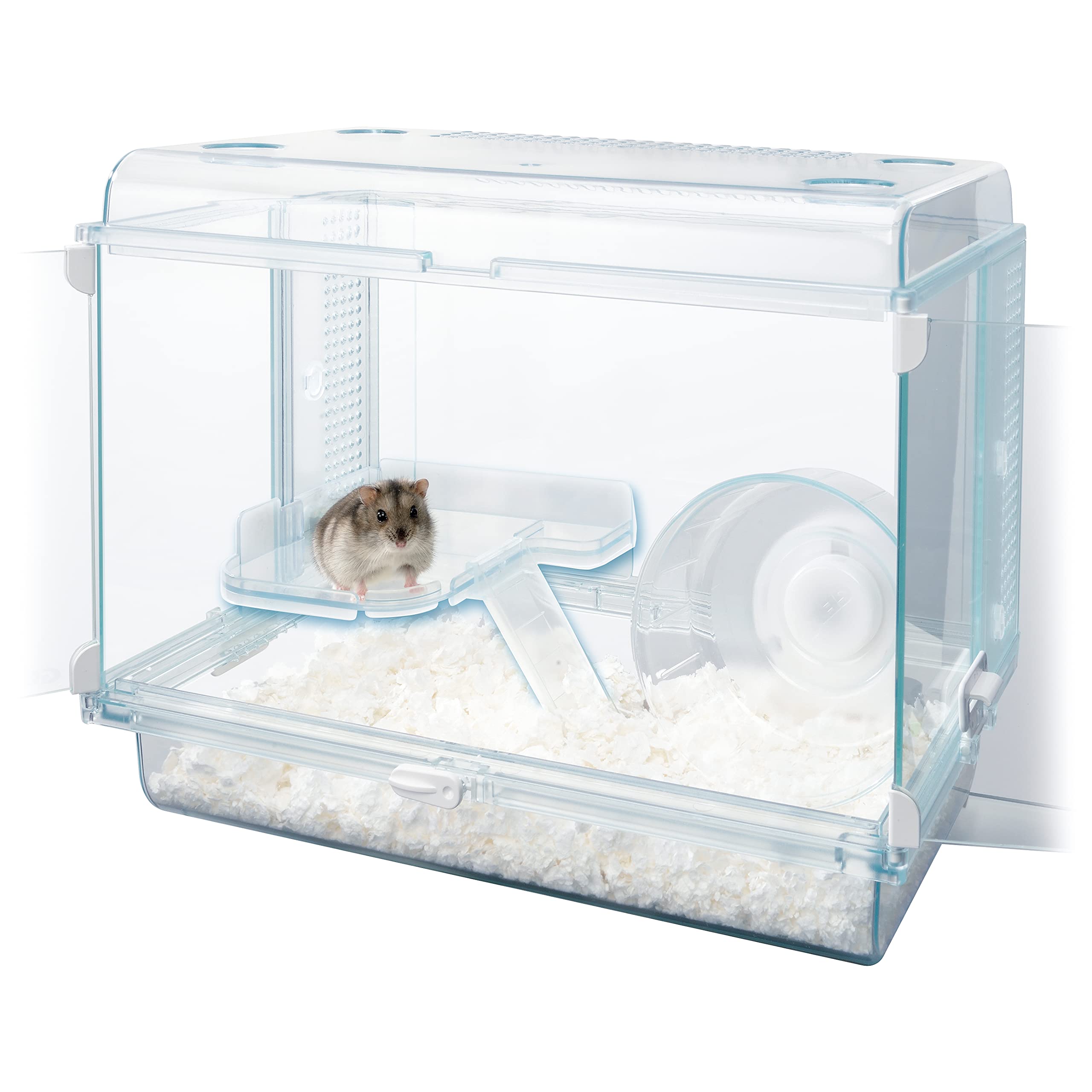 Amazon | GEXジェックス Harmony ハーモニーステージS グラス