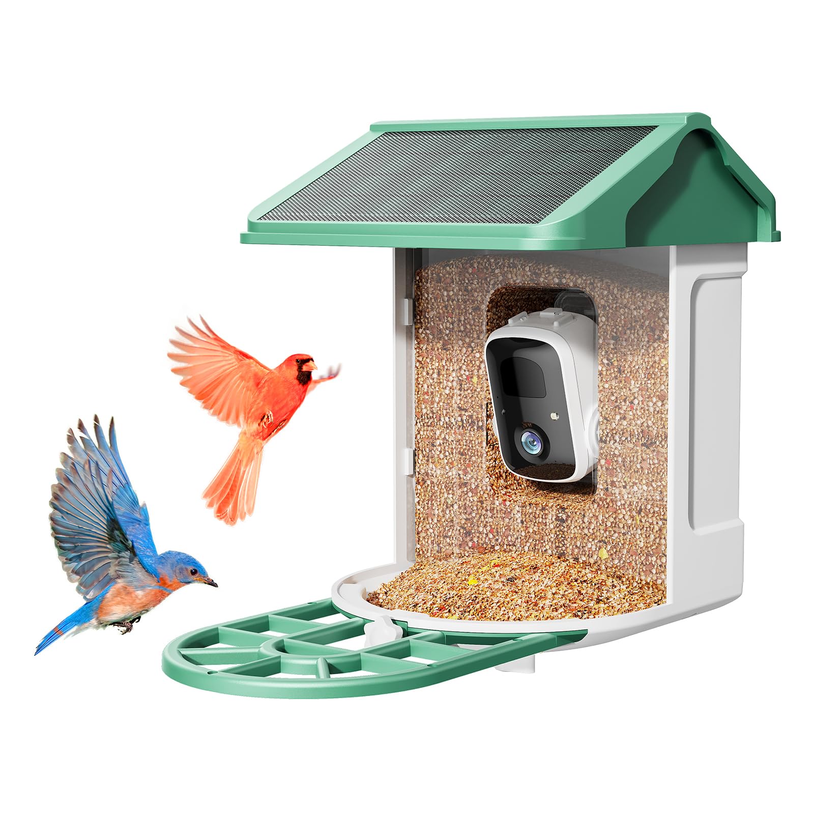 What is the Best Bird Feeder Camera: Top Picks for 2025