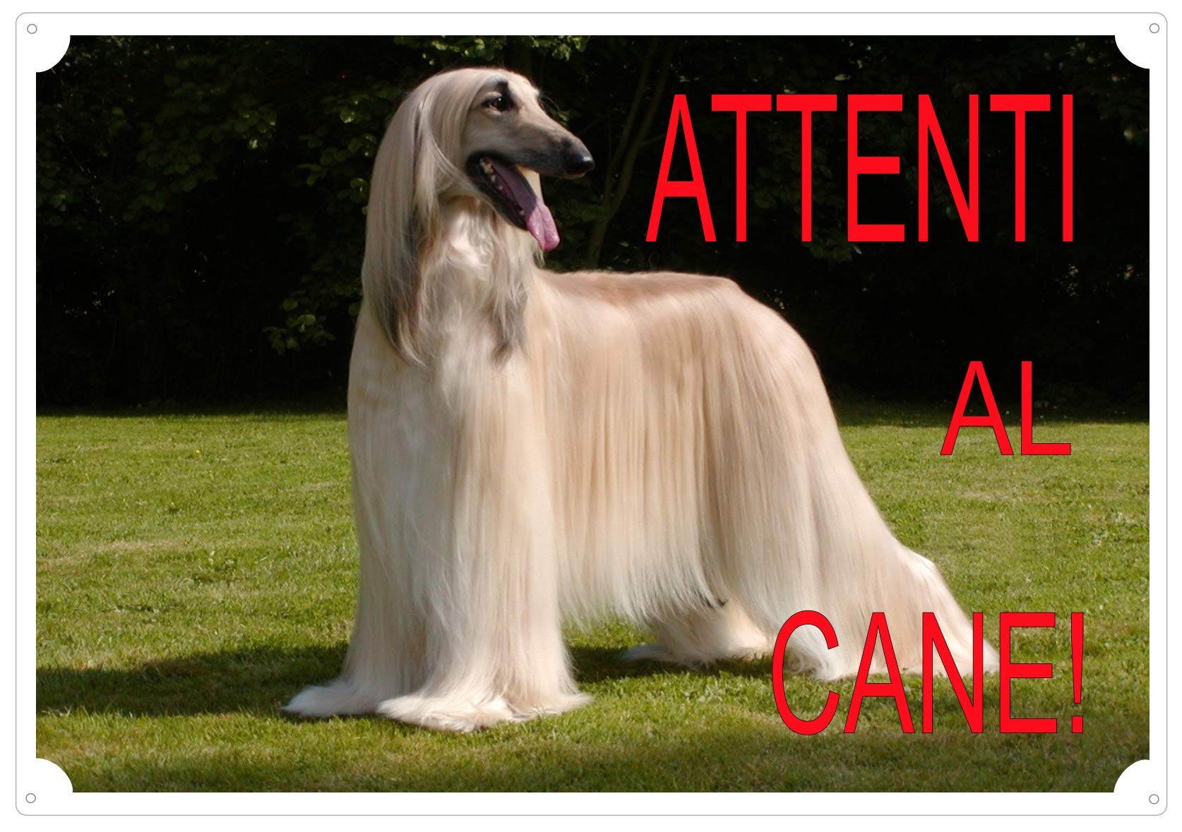 10 Migliori attenti al cane west In Italia
