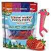 Biodegradable Kids Flossers - Dental Floss Picks for Children | Fluoride & Plastic-Free | Colorful & Fun Animal Floss Sticks | Eco Friendly, Vegan, Organic (Strawberry - 100 Pack)