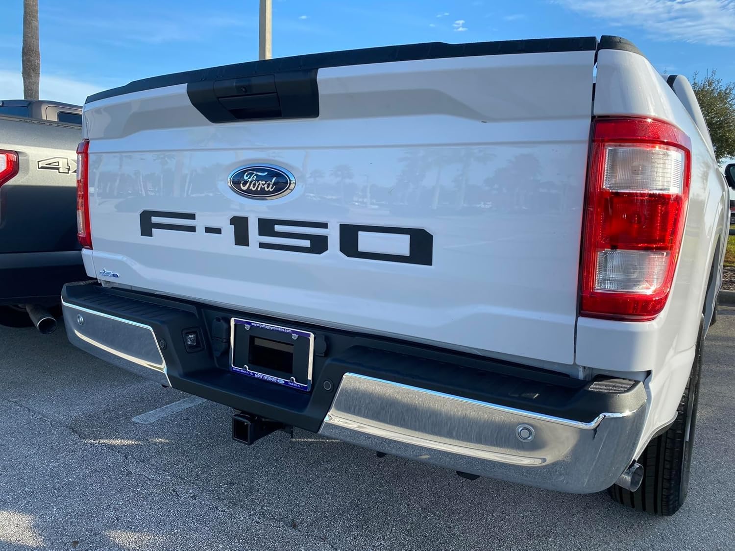 Eurosport Daytona- Compatible with 2021-Current, Ford F150 Standard Tailgate Letters (Black)