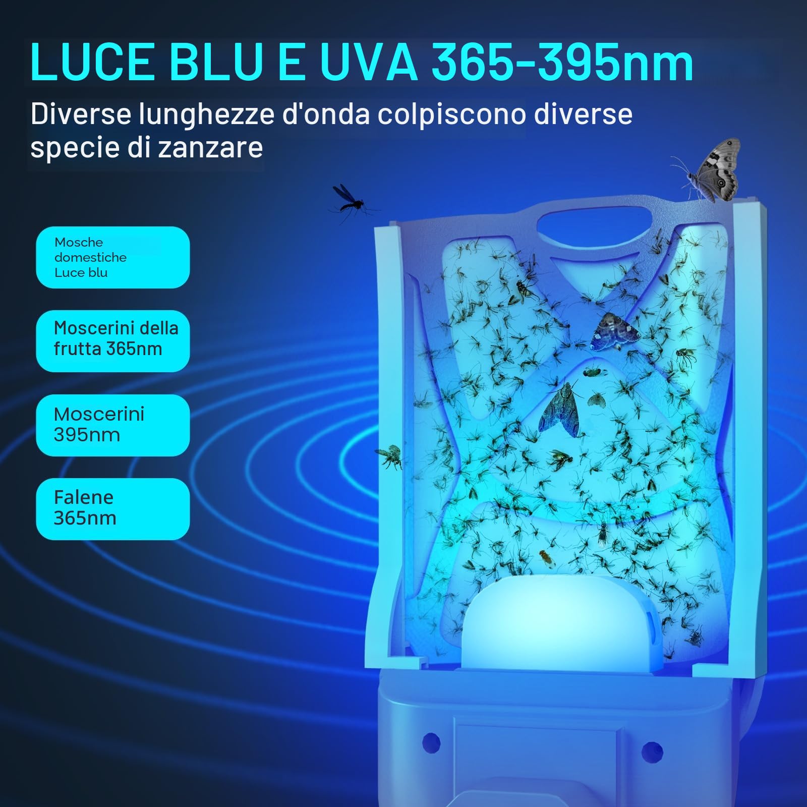 Trappola per Mosche, Antizanzare Volanti Plug-in, Trappole per Mosche da Interni, Lampada Antizanzare UV con Adesivo, Trappola per Zanzare, Mosche della Frutta (2 Dispositivi + 12 Ricariche)