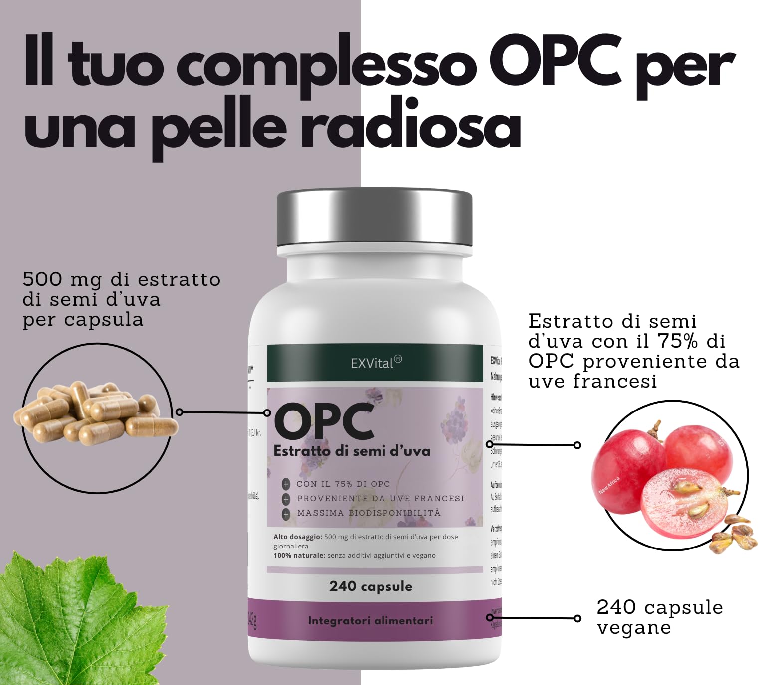 EXVital® OPC Estratto di semi d'uva - 240 capsule - dosaggio elevato con 500 mg per capsula - da uve francesi - testato in laboratorio e vegano