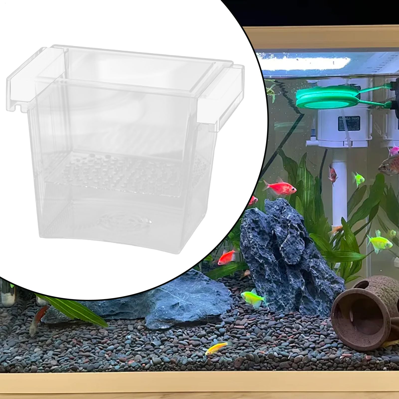 Amazon | アクアリウム用隔離ボックス | 浮き型稚魚セパレーター