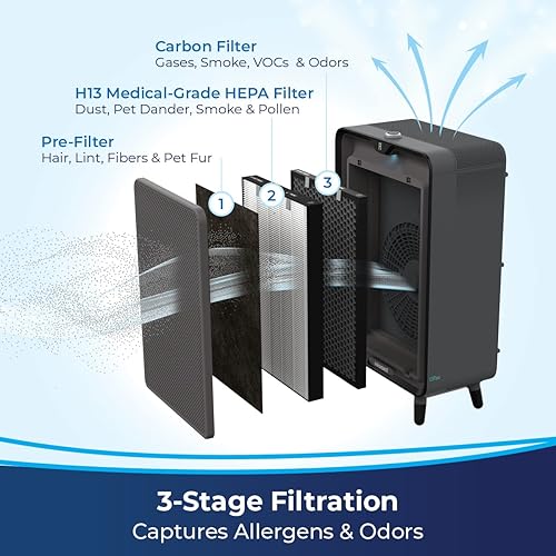 Miniatura 3 de Bissell Purificador inteligente con filtros HEPA y carbono para habitaciones grandes y hogar limpiador de aire de dormitorio silencioso para