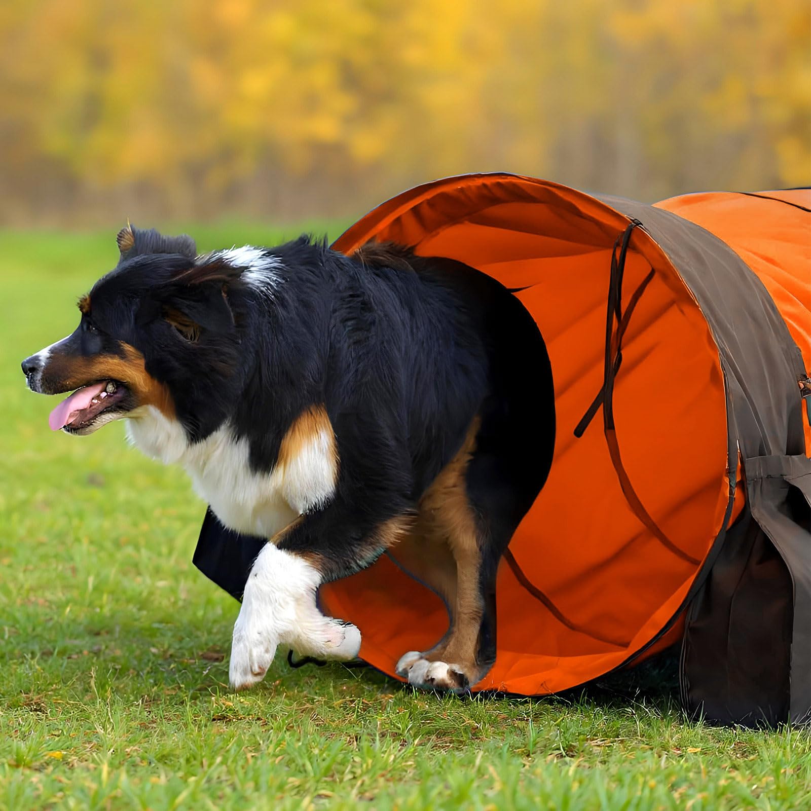 28 in 10 Foot Orange Extra Large Dog Agility Tunnel with Sandbags Dogs Agility Training Equipment Tunnel with 3 Pack Sandbags Carry Bag and 4 Ground Spikes for All Medium and Large Dogs - image 6