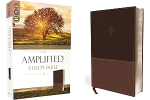 The Amplified Study Bible: Maximum Visibility in a Large Print Format