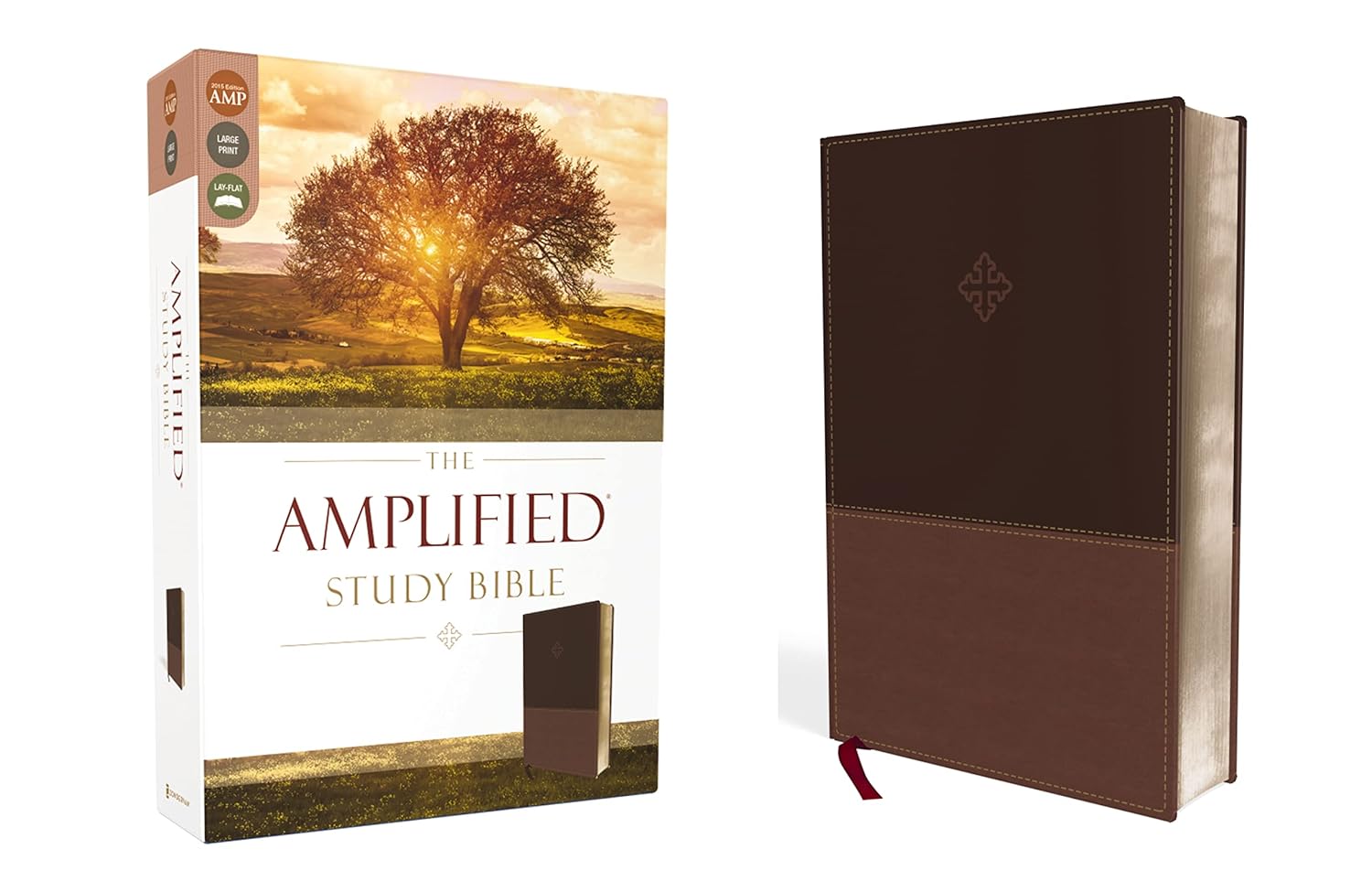 Zondervan Amplified Study Bible Large Print Leathersoft Brown - Unlock Greek & Hebrew Nuances
