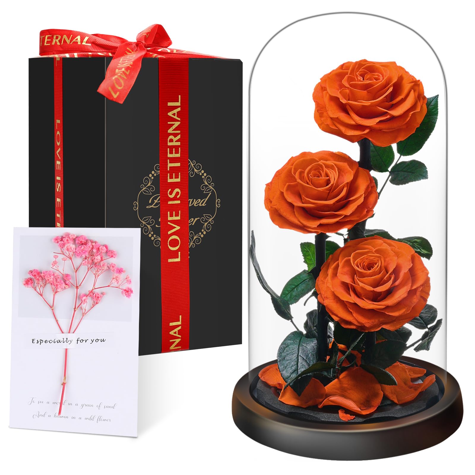 Rose Éternelle sous Cloche, Naturelle Fleur Eternelle Cadeau, Idée Boite Rose Eternel, Cadeau pour la Saint-Valentin, Fête des Mères, Noël, Anniversaire, Femme, Copine, Amie, Maman, Grand Mere