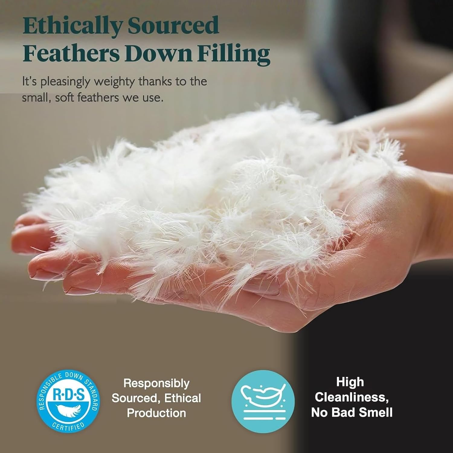 Feathers & Down Comforter, Organic Duvet Insert, 100% Cotton Shell, Ethically-sourced Feathers and Down Filler, All Season Warm, Oversized Queen Size, White