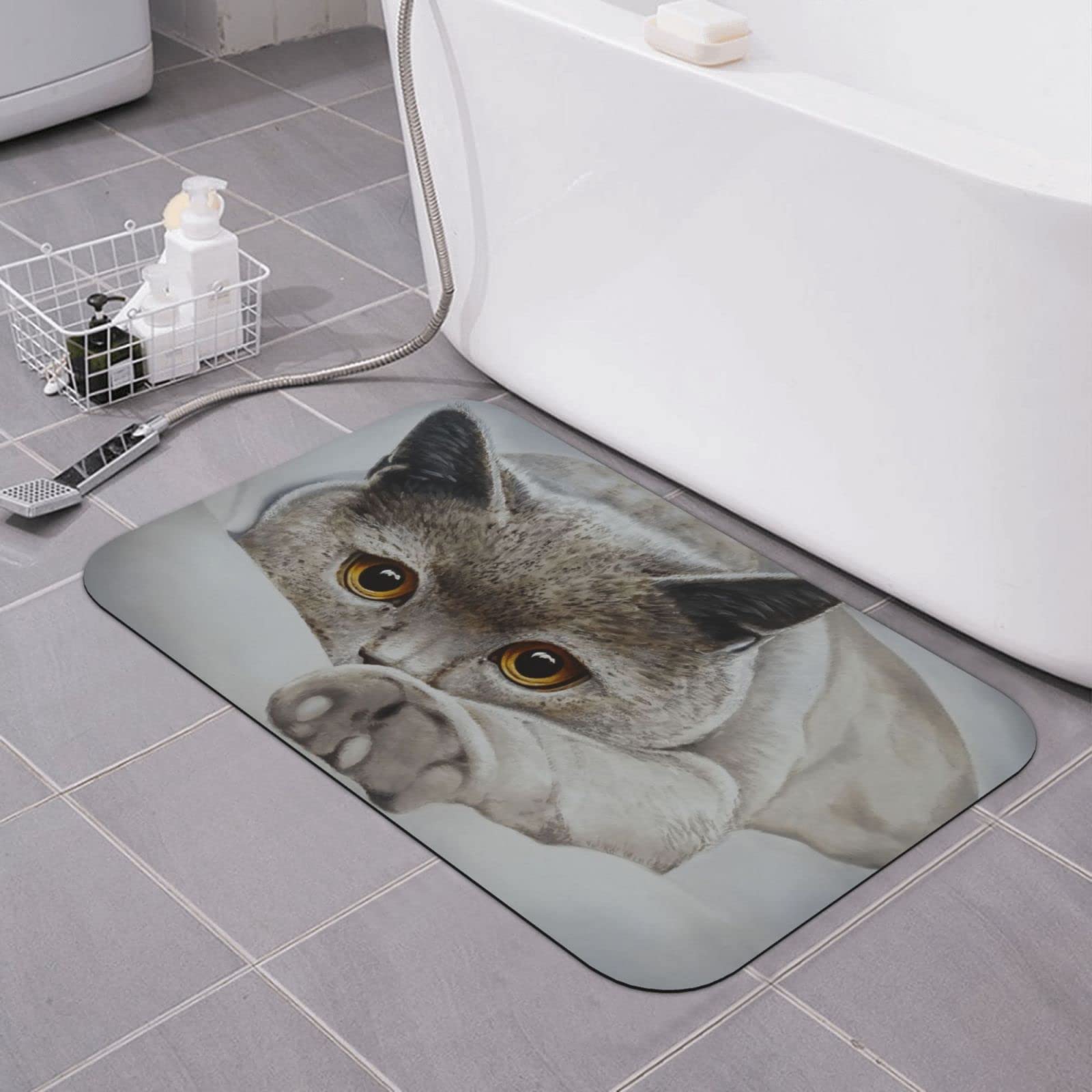 Cat Bath Mat Diatomaceous Earth Rug Super Absorbent Non Slip Quick Dry Bathroom Kitchen Doormat 16"X24"