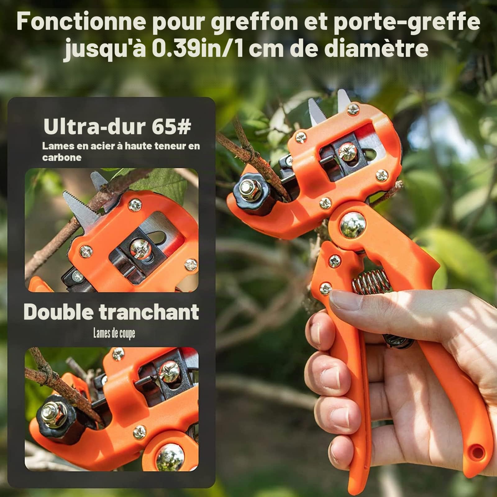 Pince à Greffer Professionnelle D'arbres Fruitiers, Parfaits pour L'élagage et Le Greffage D'arbres Fruitiers et Plantes, avec 8 Lames de Greffe Remplaçables et Rouleau de Ruban et Accessoires,Rouge