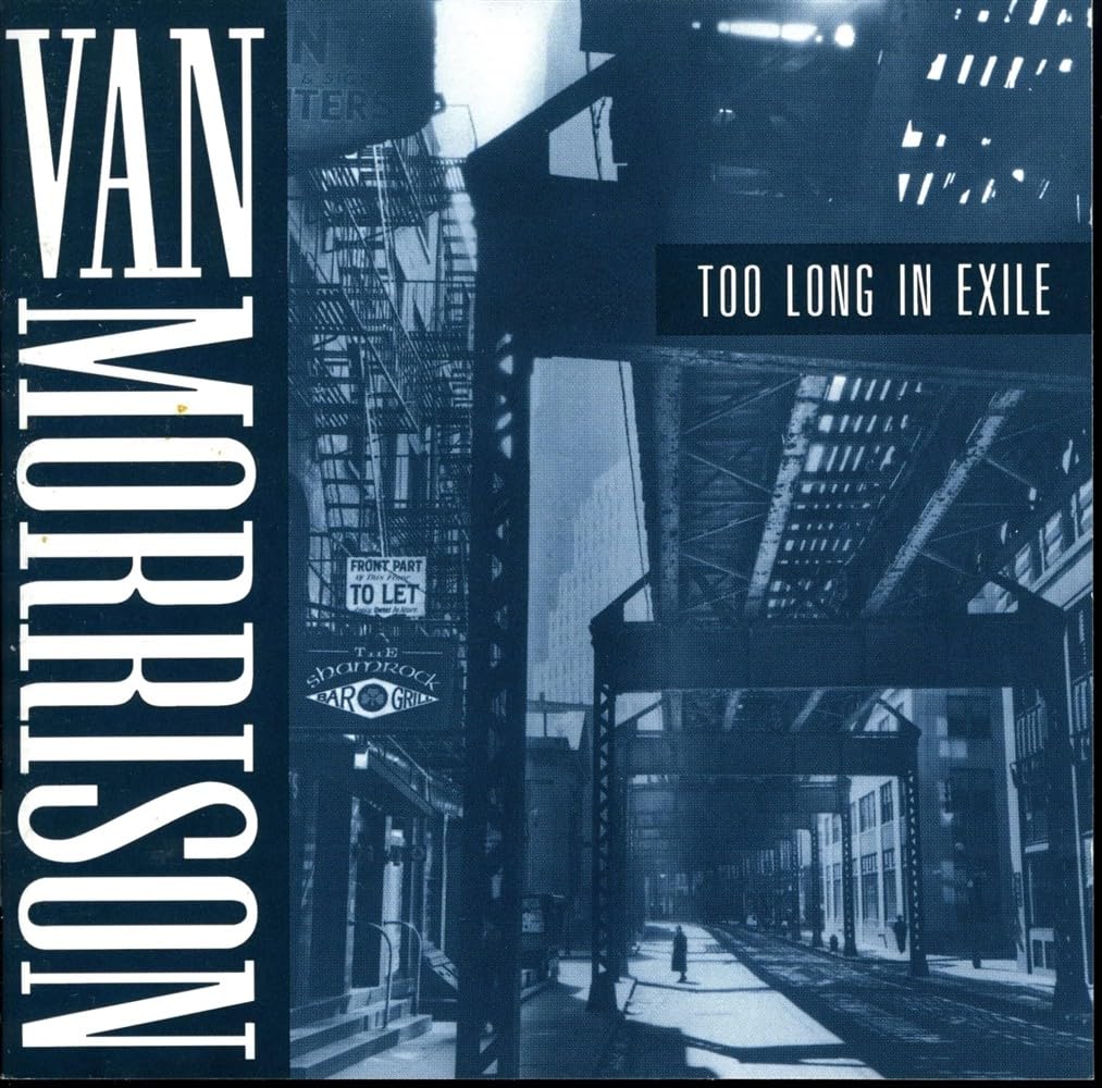 Too Long in Exile [Audio CD]