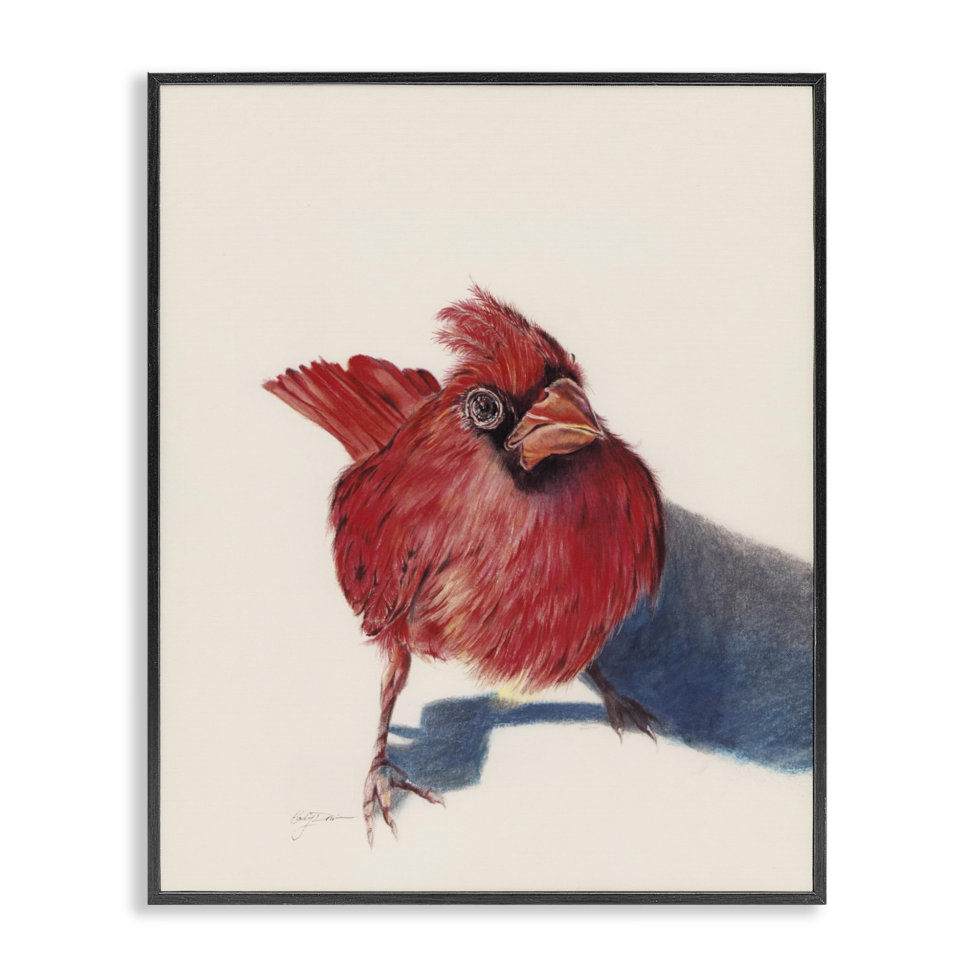 Stupell Industries Standing Cardinal Bird Gray Framed Giclee Art, design by Cady Driver, 30 x 24